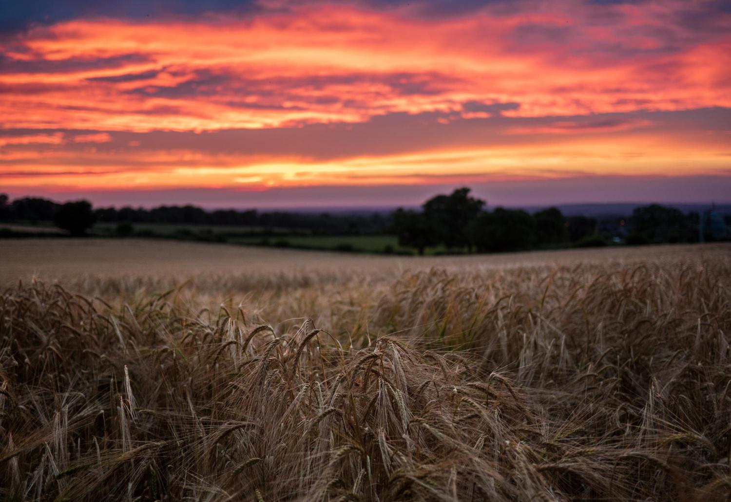 IPCC Report